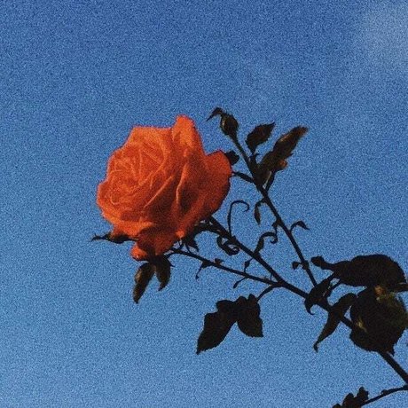 Princess Bitchass adult star photo