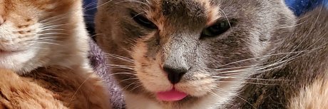 PrincessMaddieMaddz model free gallery