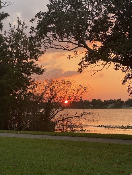 Grace and friends actress photo