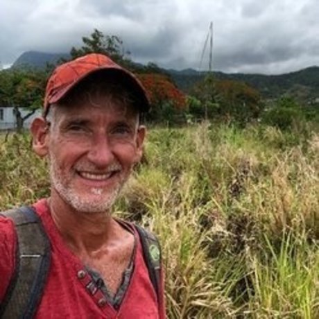 LareoM sexy actress image