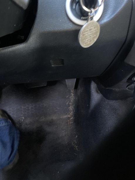 Coach30563 top pornstar picture