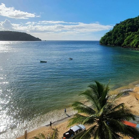 That Crypto Fella high quality pornstar photos