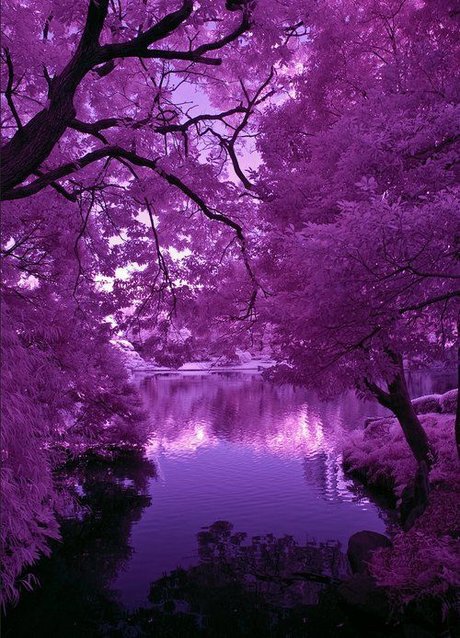 Prince Mikail perfect pornstar images