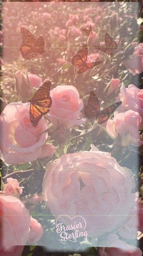 Your Favorite Wh re_ pornstar pics