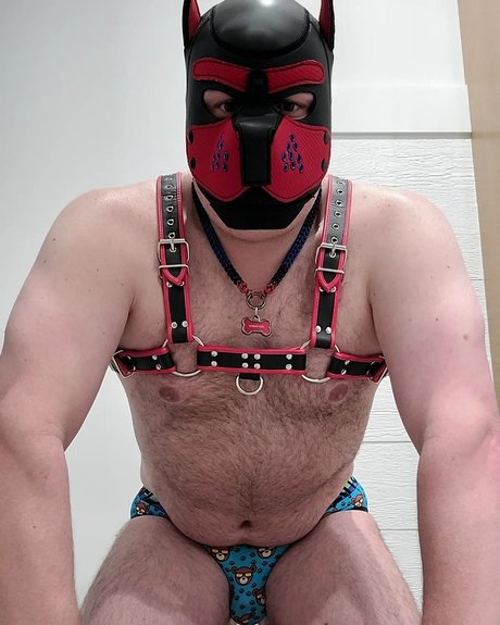 Pup Pouch adult model img