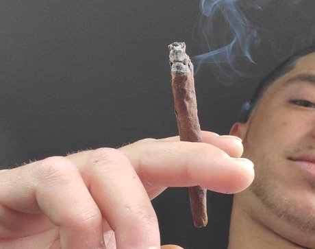 Puff Wellington model high quality photo