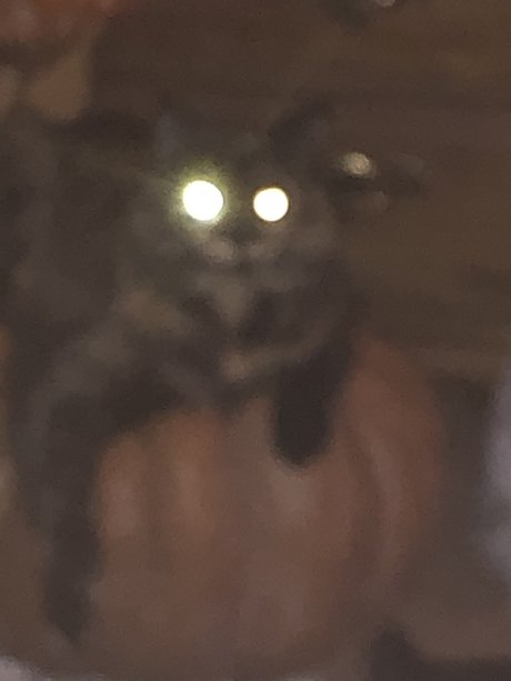 Monster EX nude star archive