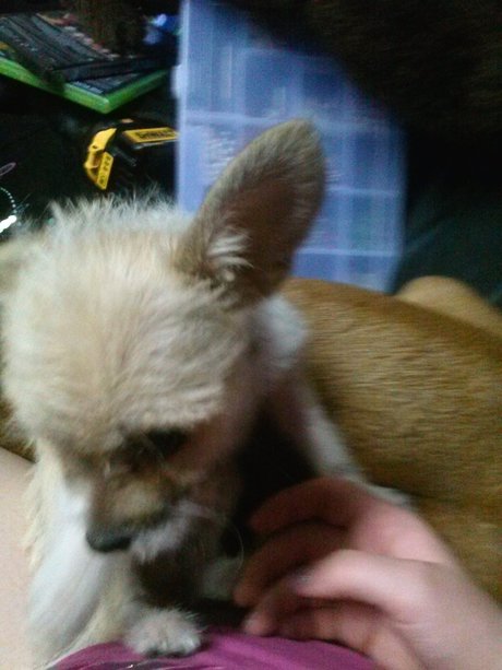 _Miss M rder_ art pornstar galleries