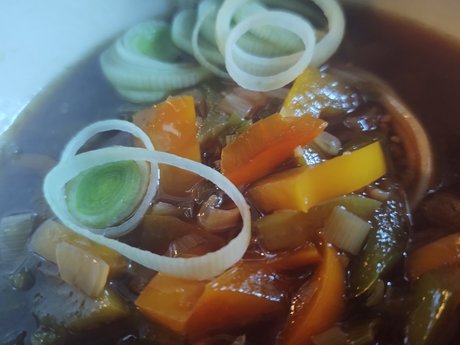 Sailace Rain pornographic actress picture