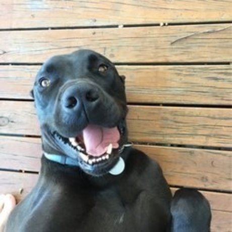 sconcey star exclusive pics