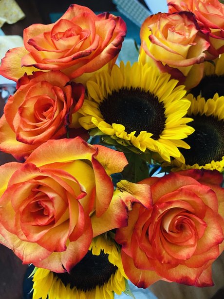 Geni star adult galleries