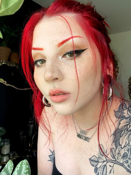 Scayreycat naked star images