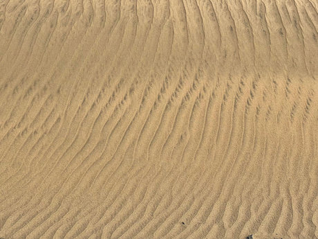 Andrew Aston XXL model naked gallery