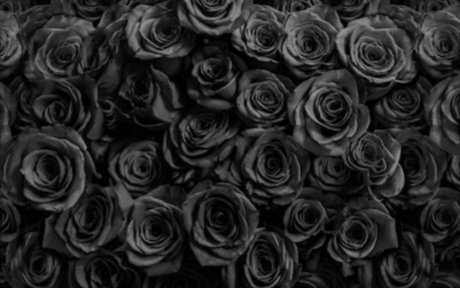 S C A R_ high quality actress pictures