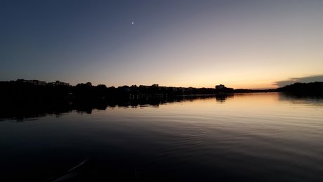 Dave Smith pornographic actress pic