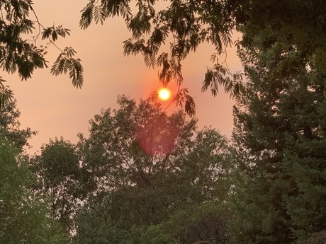 Dis D3x D pornographic model pic