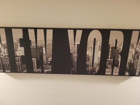 Shanell Turner pornstar erotic pics