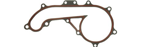 Nacho Swanson nude model photo