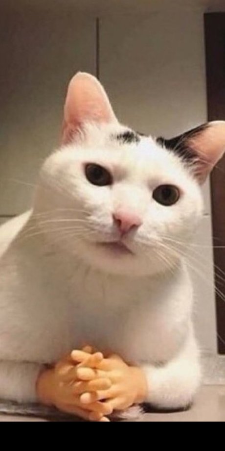 Valenz star xxx picture