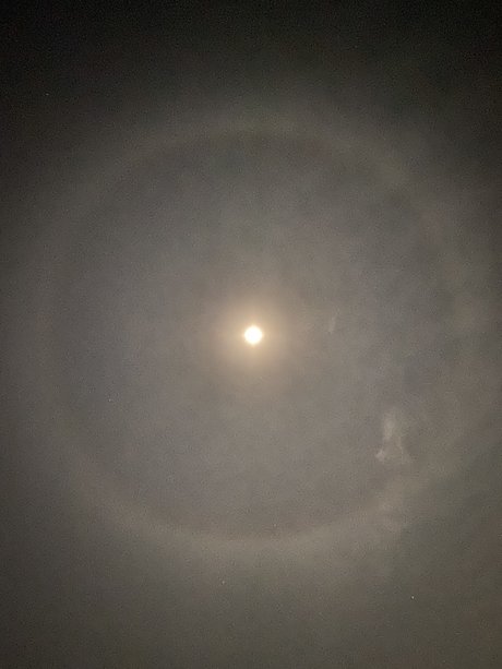 Valenz perfect actress pics