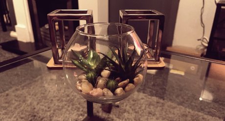 Queen Rhiannon pornstar hot galleries