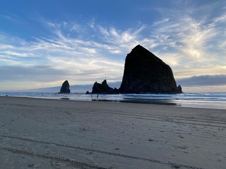 Reese W model sexy pictures