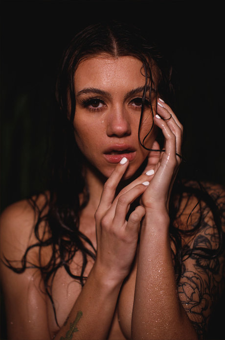 Priscilla VIP_ pornstar art galleries