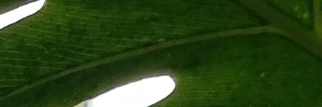 QuantumOrgasms naked model img