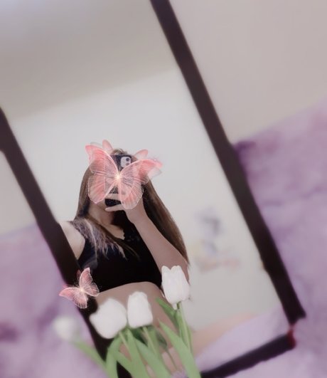 Tiny Butterfly xxx star images