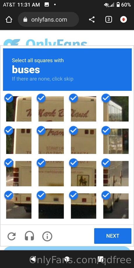 Damien Q_ adult actress galleries