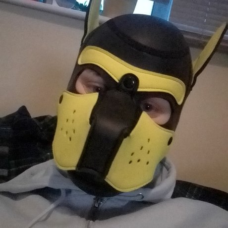 QAURTZ PUP pornographic actress img