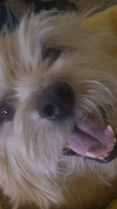 Caleb Brady pornstar beautiful galleries