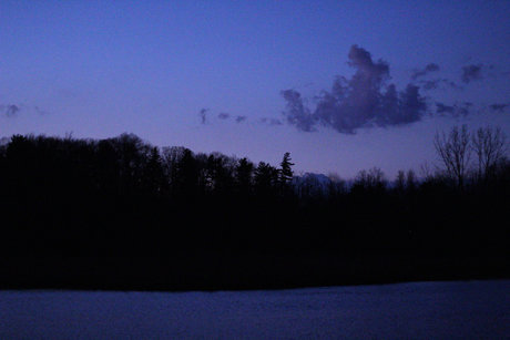 Bentley_ perfect pornstar photo