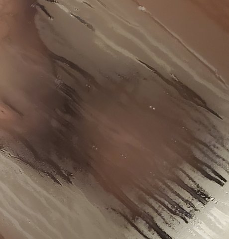 Southern Ebony nudes pornstar pics