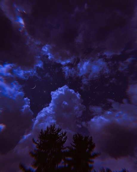 Ebonay model perfect image