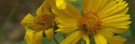 Rain night high quality pornstar photos