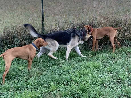 Michael Scott nude star img