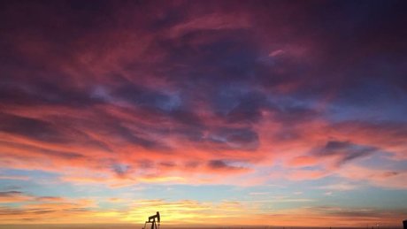 DonnyD pornographic actress image