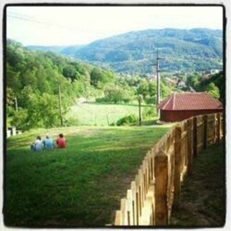 Dejan C_ art star images