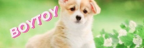 Danny Black pornstar sex picture