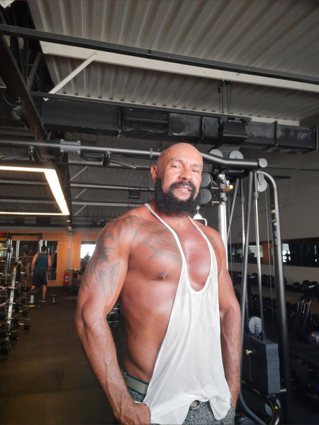 Tigr o model beautiful archive