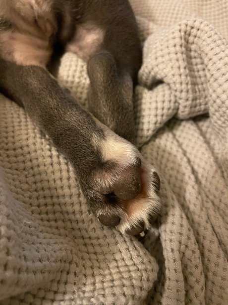 Stepford wife nice actress photos