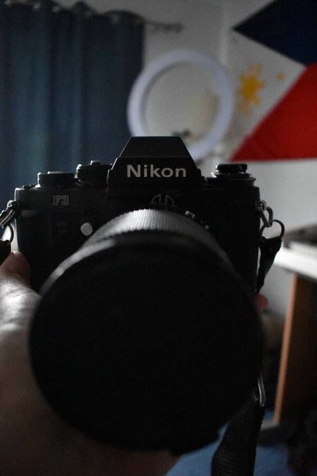 RainMan95 free model photo