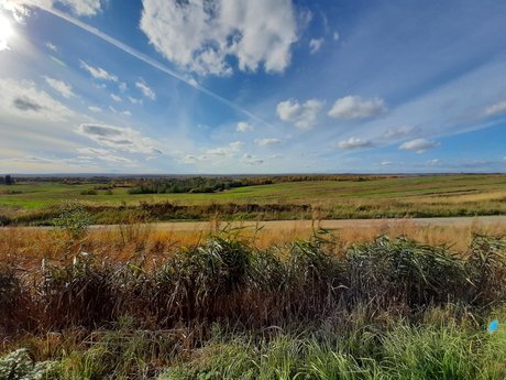 Rainbow James pornstar nudes images