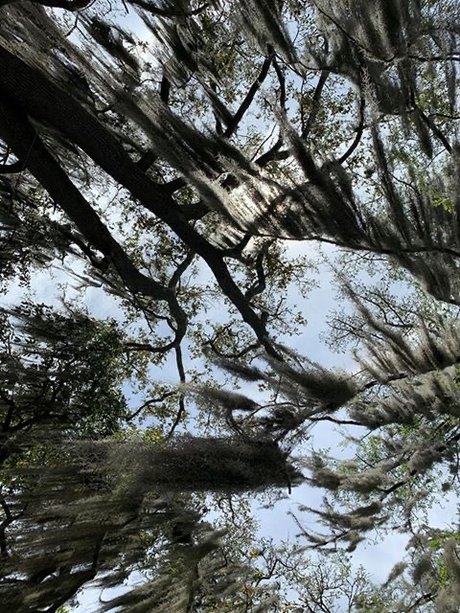 Rainah Morningstar top pornstar pic