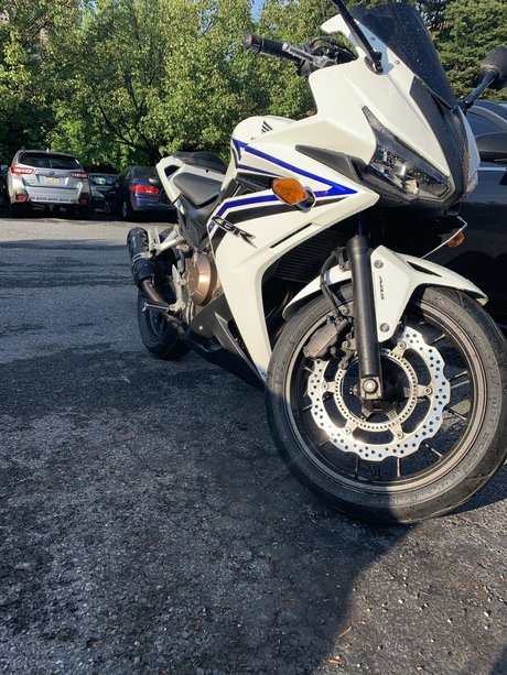 Anthony Pappalardo sexy model images