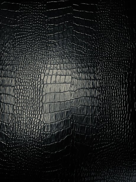 Rafael Zorzella model perfect images