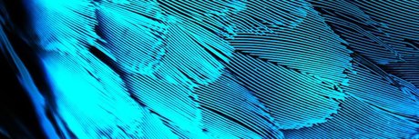 Dane Del Rey star naked gallery