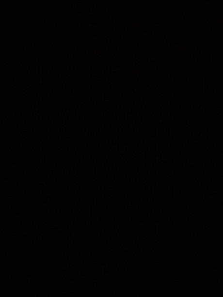 _Bunnie pornstar sex picture