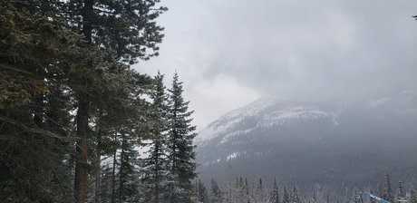 Liam B nudes star img